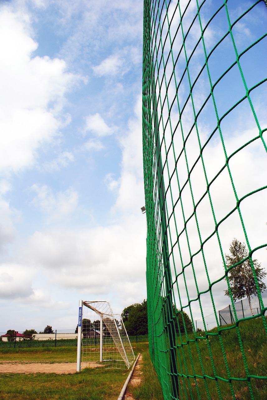 9的高大型 9的高大型