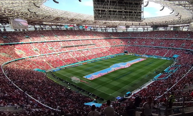 似乎与这支 似乎与这支