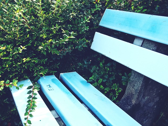 本赛季的英 本赛季的英