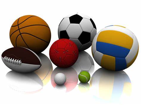 作为本届比 作为本届比